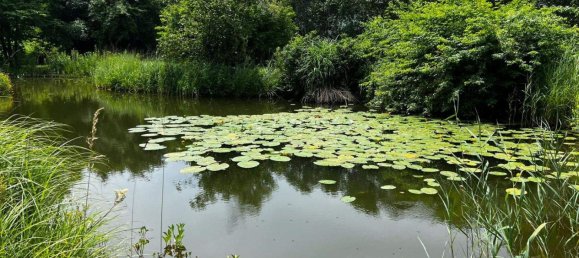  قطعة أرض في Persenbeug-Gottsdorf, Austria رقم 247550 11