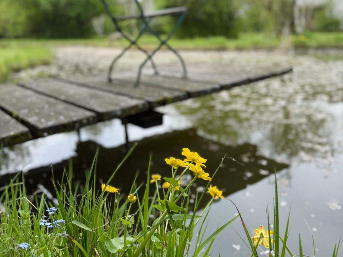  قطعة أرض في Persenbeug-Gottsdorf, Austria رقم 247550