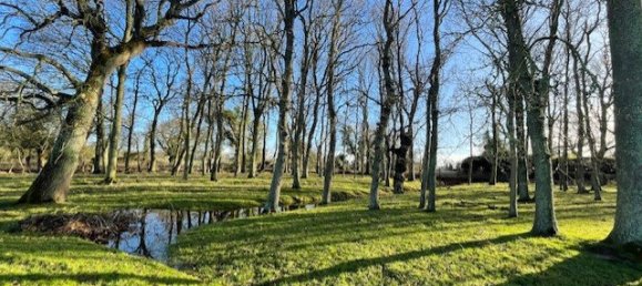 5 Schlafzimmer Haus in Erquy, France, Nr. 306116 15