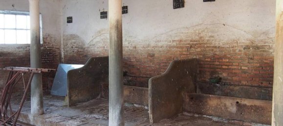 7 rooms House in Pegognaga, Italy No. 108388 4