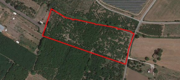 1غرفة قطعة أرض في Riardo, Italy رقم 162098 12