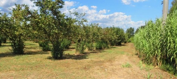 1غرفة قطعة أرض في Riardo, Italy رقم 162098 8