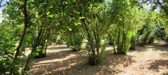 1غرفة قطعة أرض في Riardo, Italy رقم 162098 15