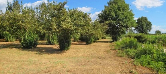 1غرفة قطعة أرض في Riardo, Italy رقم 162098 14