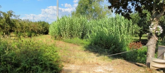 1غرفة قطعة أرض في Riardo, Italy رقم 162098 16