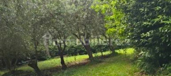 Grundstück in Baone, Italy 40000m², Nr. 364032 5