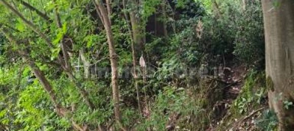 Grundstück in Baone, Italy 40000m², Nr. 364032 7