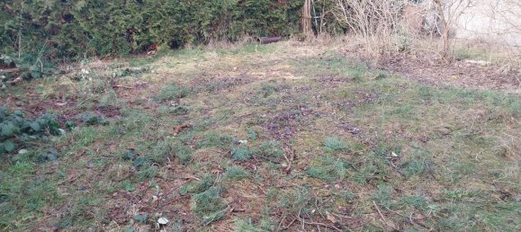 3 rooms Townhouse in Brandenburg an der Havel, Germany No. 62442 43