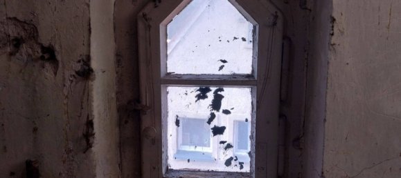 3 rooms Townhouse in Brandenburg an der Havel, Germany No. 62442 20