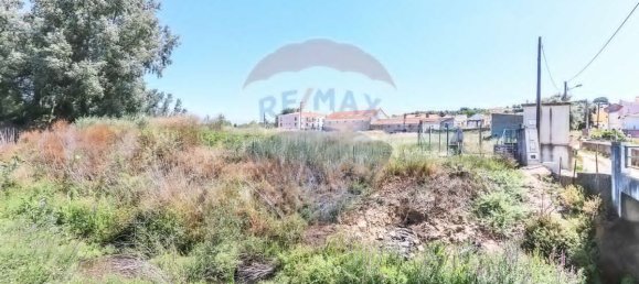 9 bedrooms House in Torres Vedras, Portugal No. 52316 31