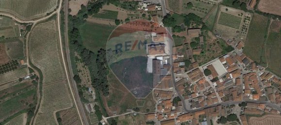 9 bedrooms House in Torres Vedras, Portugal No. 52316 8