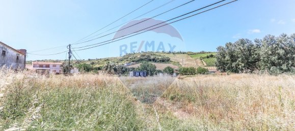 9 bedrooms House in Torres Vedras, Portugal No. 52316 19