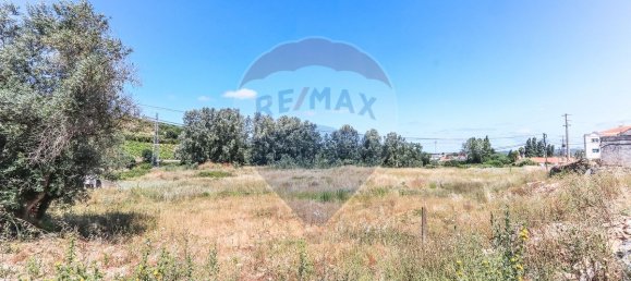 9 bedrooms House in Torres Vedras, Portugal No. 52316 17