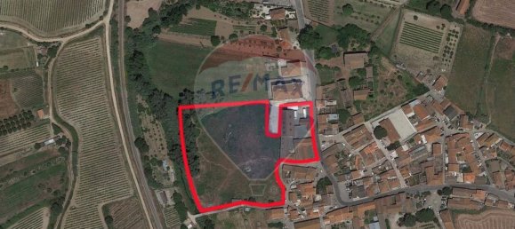 9 bedrooms House in Torres Vedras, Portugal No. 52316 3