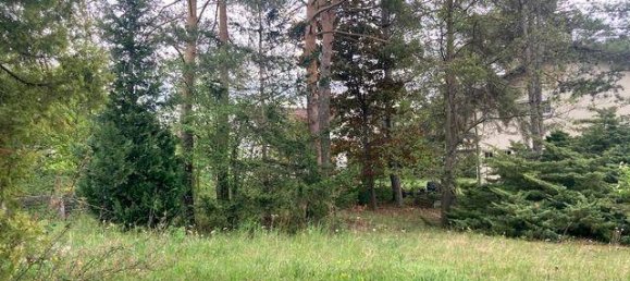 Casa de 3 habitaciónes en Lackenbach, Austria No. 255221 14