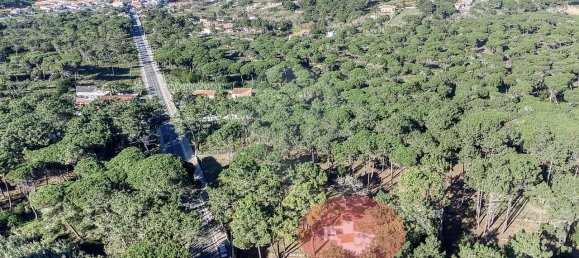 4 غرف نوم منزل في Colares, Portugal رقم 164363 25