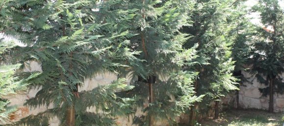 Imóvel comercial T2 em Chalkidiki, Greece N.º 8108 12