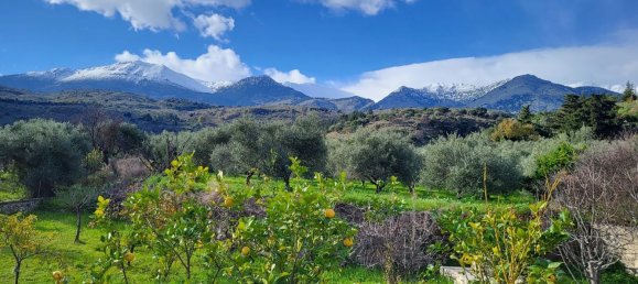 Imóvel comercial T6 em Chania, Greece N.º 113 3