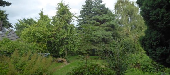 6 bedrooms House in Teltow-Flaming, Germany No. 233434 13