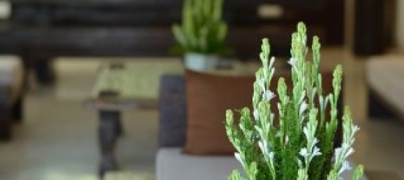 5 Schlafzimmer Villa in Seminyak, Indonesia, Nr. 2963 14