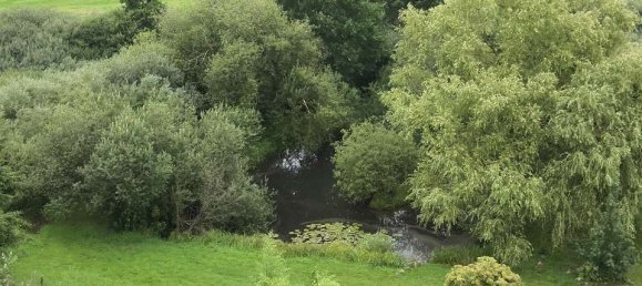 5 rooms House in Segeberg, Germany No. 331684 6