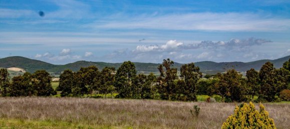 5 غرف نوم منزل في Montalto di Castro, Italy رقم 163227 19