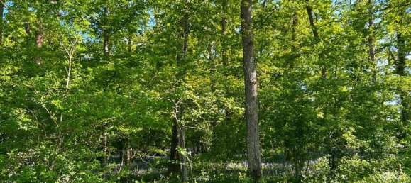 Castelos T5 em Eure, France N.º 344960 6