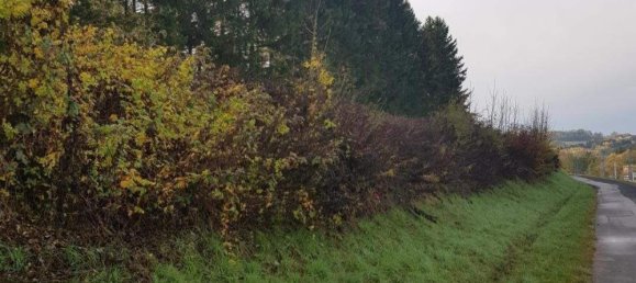  Land in Stegersbach, Austria No. 79072 5