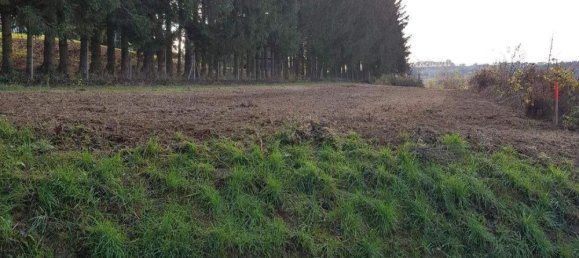  Land in Stegersbach, Austria No. 79072 2