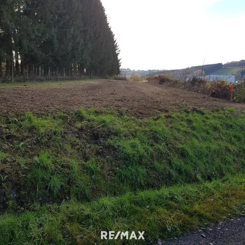  Land in Stegersbach, Austria No. 79072