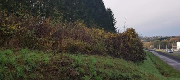  Land in Stegersbach, Austria No. 79072 4