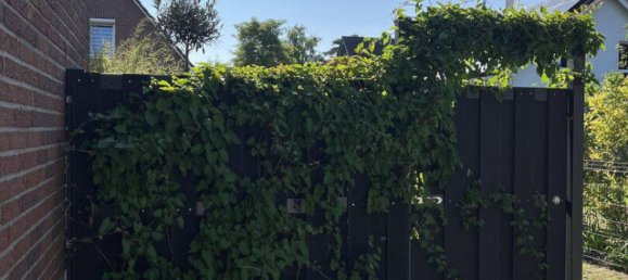 5 Schlafzimmer Stadthaus in Buckow, Germany, Nr. 342921 19