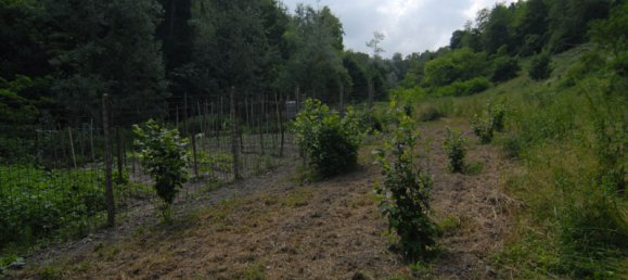 3 chambres Maison à Dogliani, Italy No. 140840 29