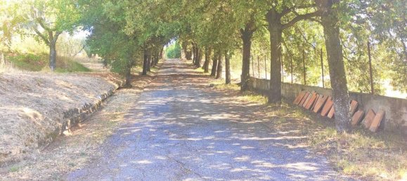 4 rooms Villa in Quarrata, Italy No. 108531 2