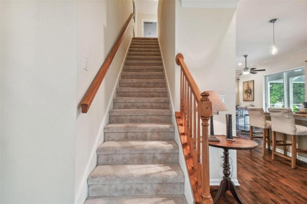 5 Schlafzimmer Haus in Tampa, USA, Nr. 351007