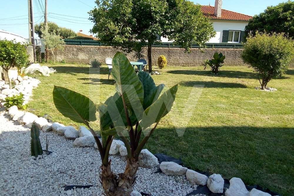 3 chambres Maison à Cacia, Portugal No. 208972