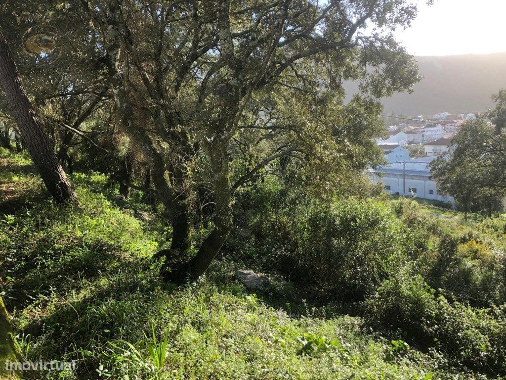 Terreno en Minde, Portugal 455 m² No. 221215