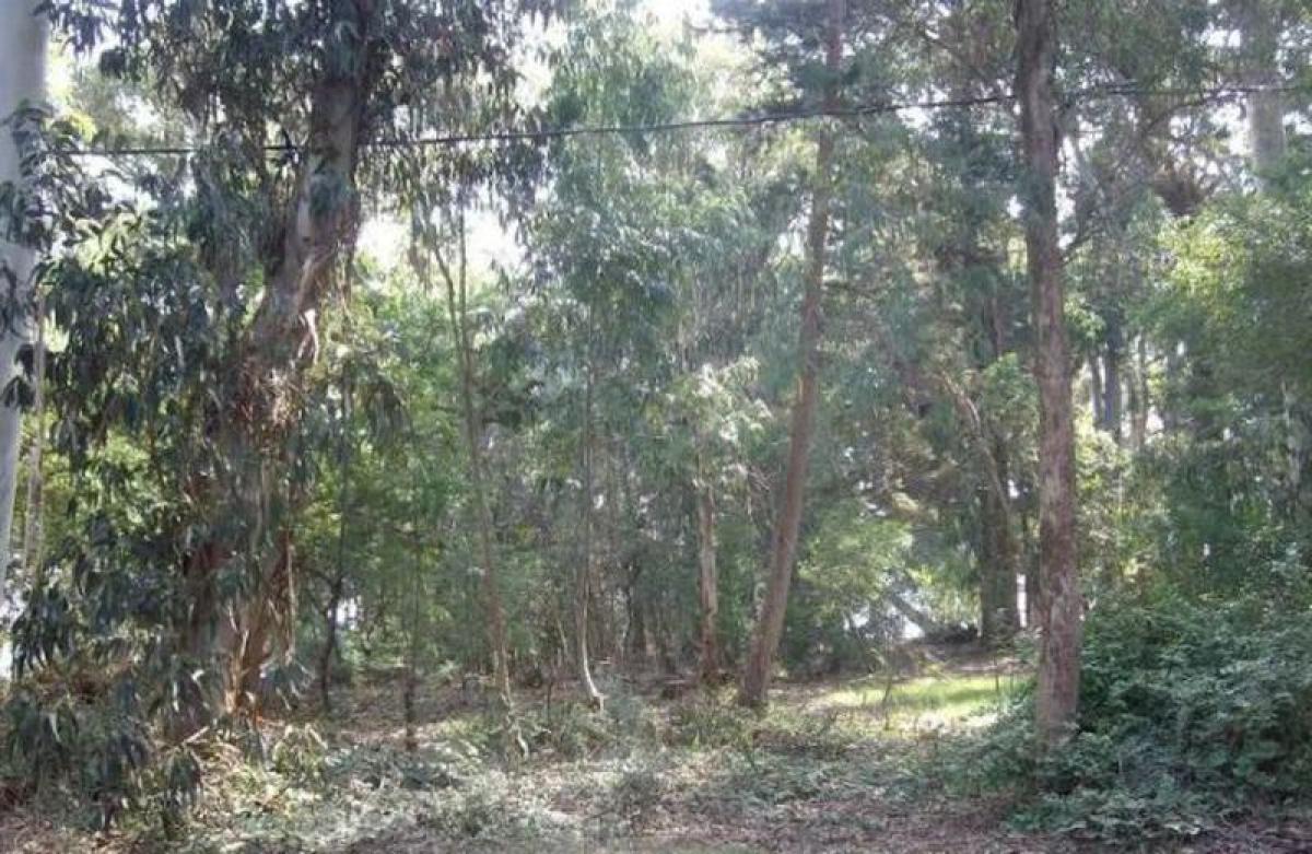  Land in Maldonado, Uruguay No. 15854