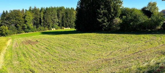 Land in Grafenbach-St. Valentin, Austria No. 220950 2