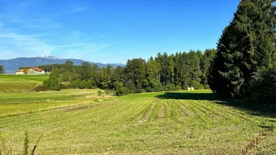  Land in Grafenbach-St. Valentin, Austria No. 220950