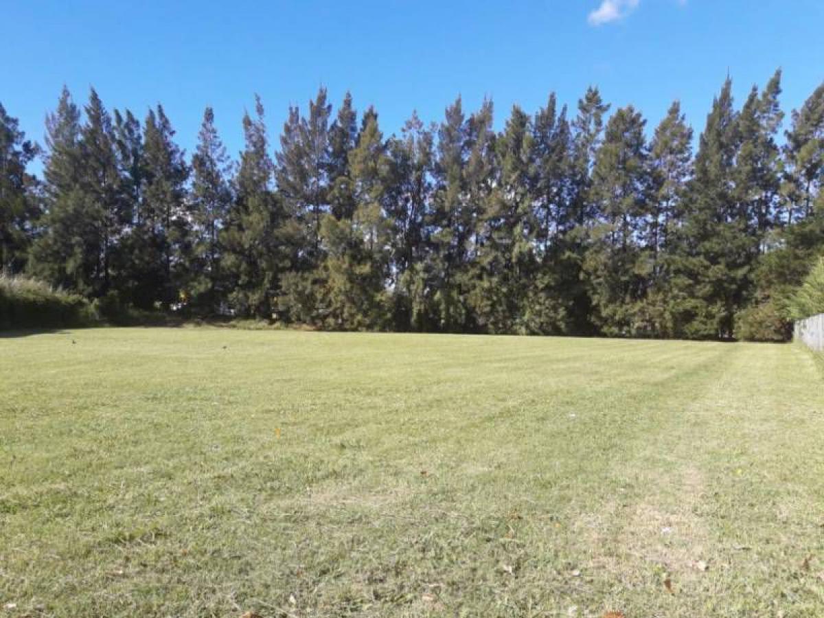  Land in Tigre, Argentina No. 46461