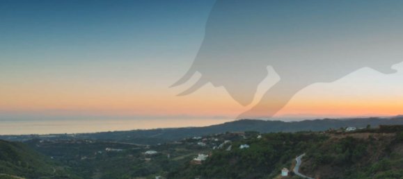 Земельный участок в Малага, Испания № 148065 13