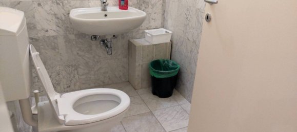 5-Zimmer Gewerbliche Immobilie in Alessandria, Italy, Nr. 43714 17