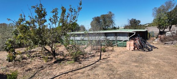 5 Schlafzimmer Haus in Sines, Portugal, Nr. 67478 9