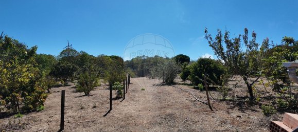 5 Schlafzimmer Haus in Sines, Portugal, Nr. 67478 10