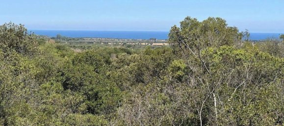 5غرفة فيلا في Carovigno, Italy رقم 27851 16