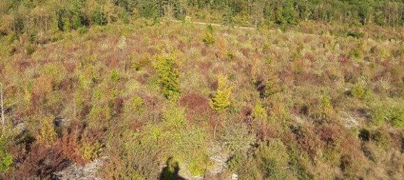 Grundstück in Cote-d'Or, France, Nr. 316651 3