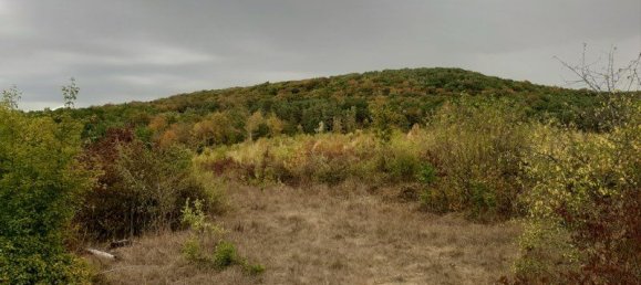 Grundstück in Cote-d'Or, France, Nr. 316651 2