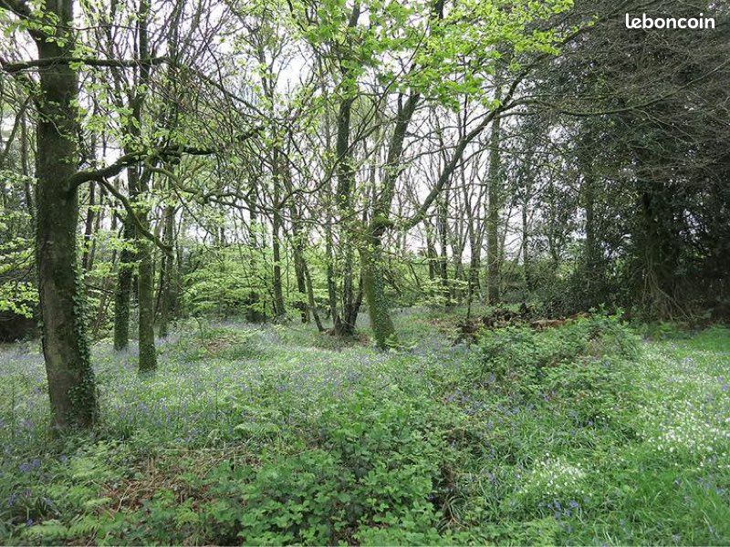 Grundstück in Cote-d'Or, France, Nr. 316651