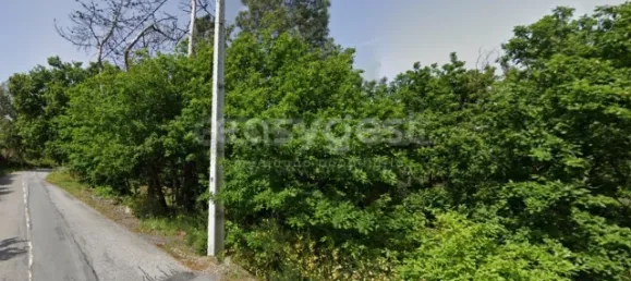 Terreno em Vouzela, Portugal N.º 68589 6